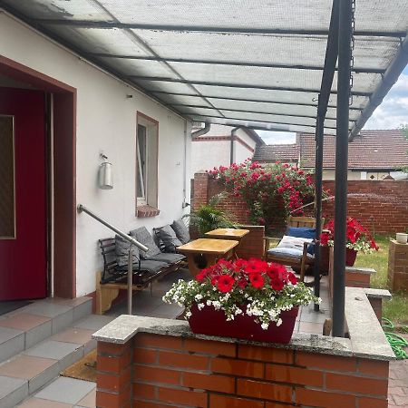 Kahnstuebchen Mit Neuem Innenhof Garten Lübben Eksteriør bilde