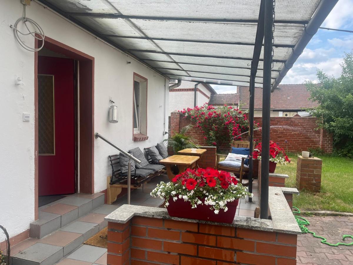 Kahnstuebchen Mit Neuem Innenhof Garten Lübben Eksteriør bilde