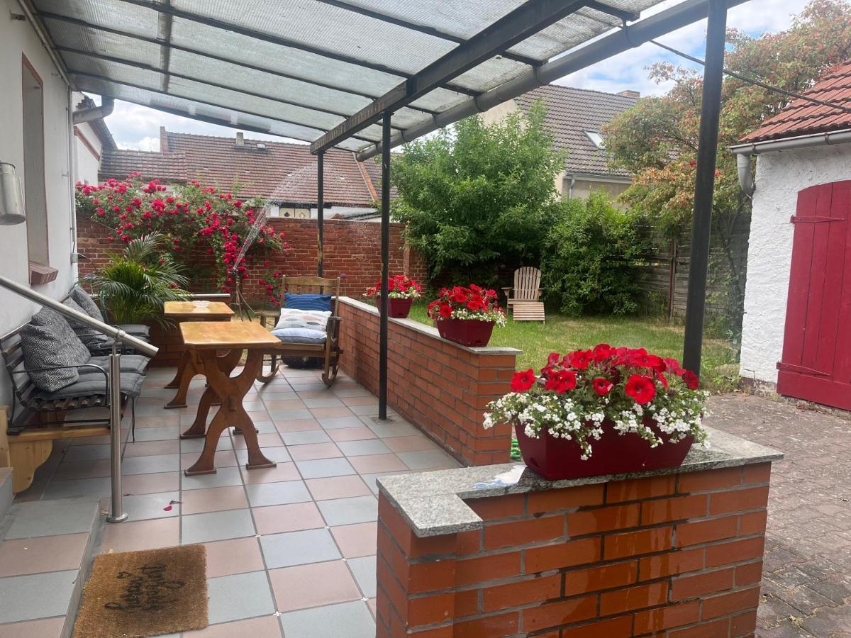 Kahnstuebchen Mit Neuem Innenhof Garten Lübben Eksteriør bilde